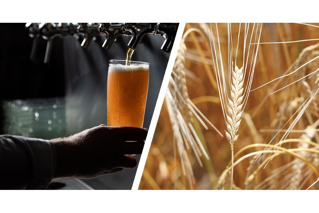 Brewers Association Selects 2020 Research Grant Recipients