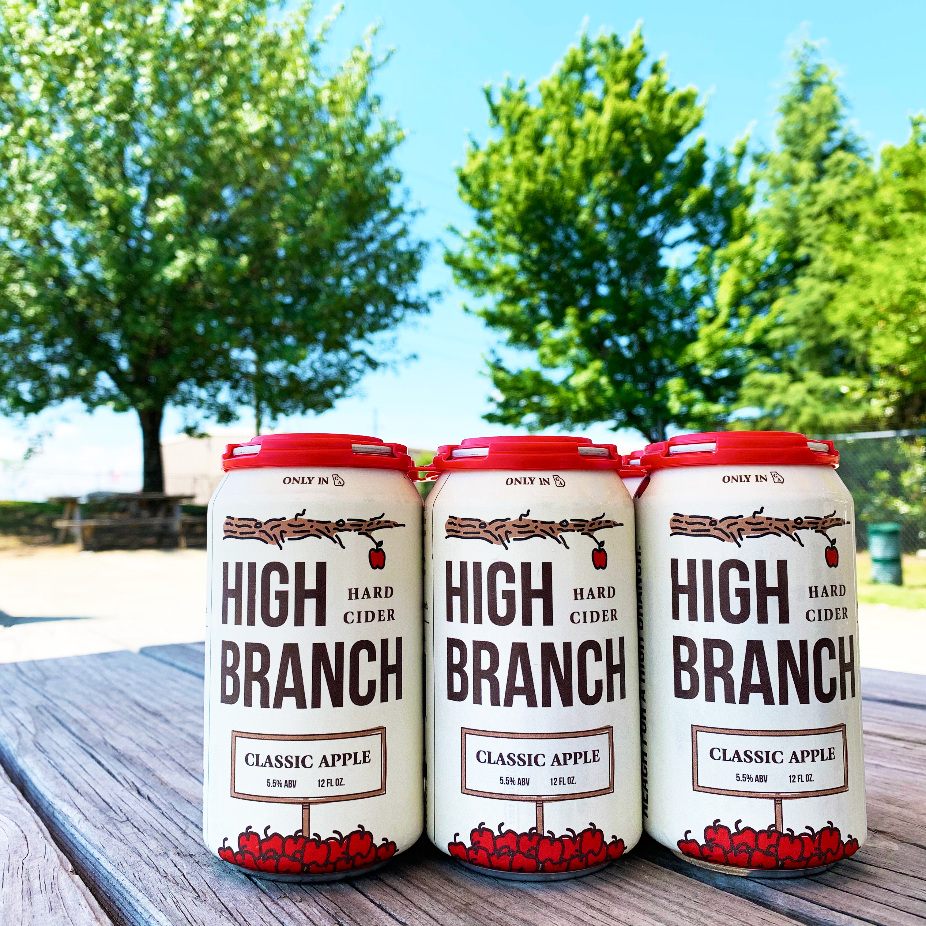 Dry County Brewing Company Encourages You To Reach For A High Branch