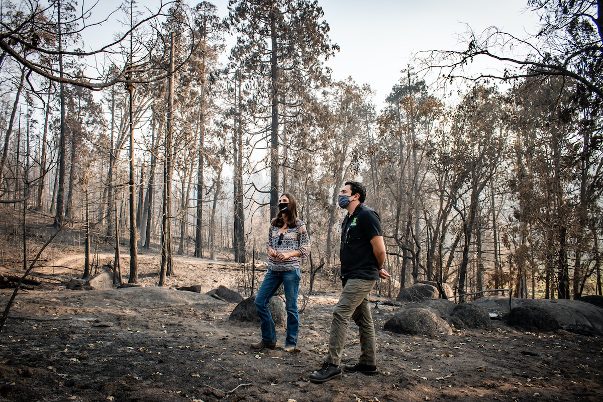 Tioga-Sequoia Brewing Company Pledges “1% for the Planet” Donation to Creek Fire Recovery Efforts