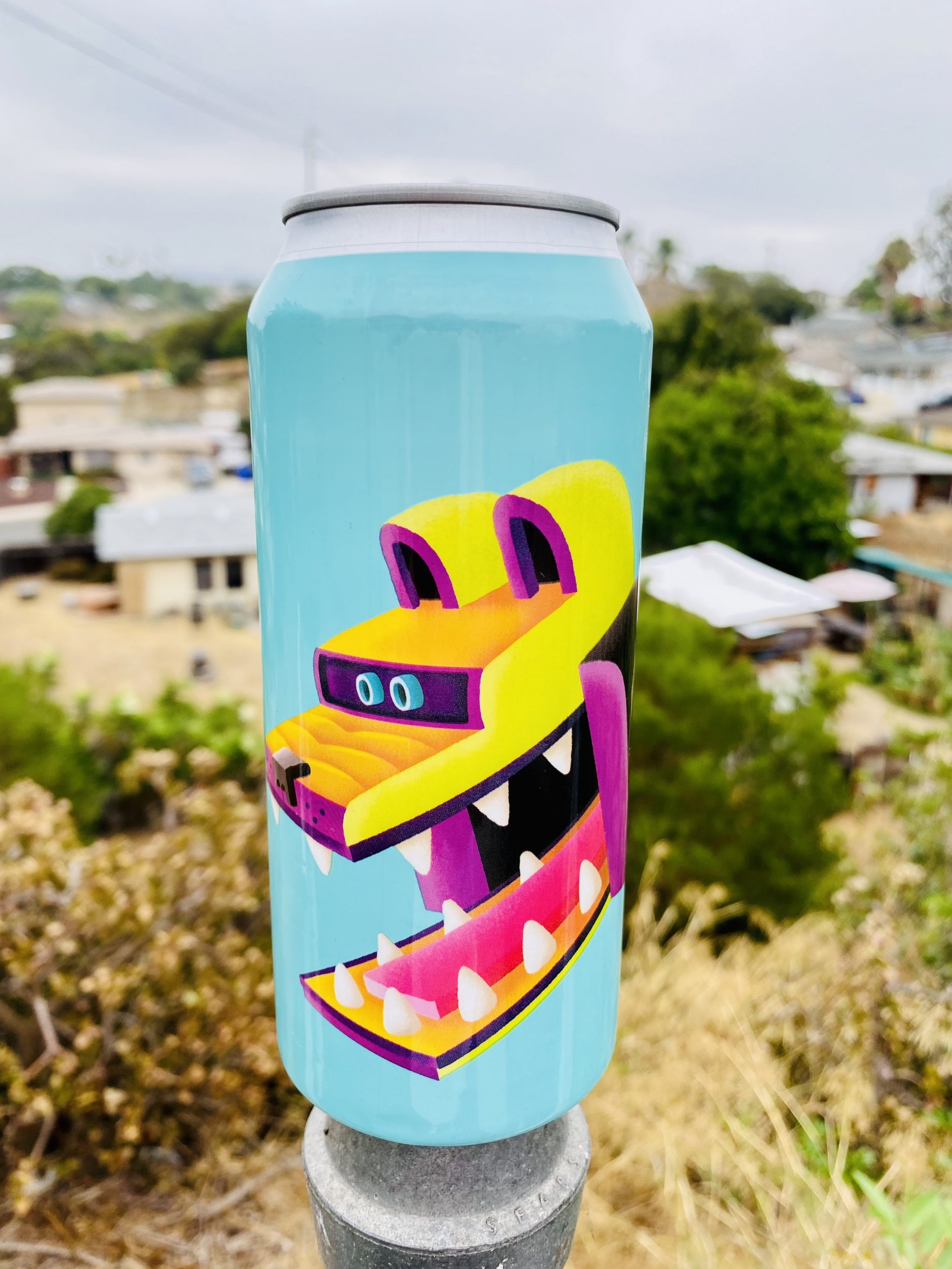 Beer Review: Collective Arts’ Berry, Banana. Açai & Granola Smoothie Sour