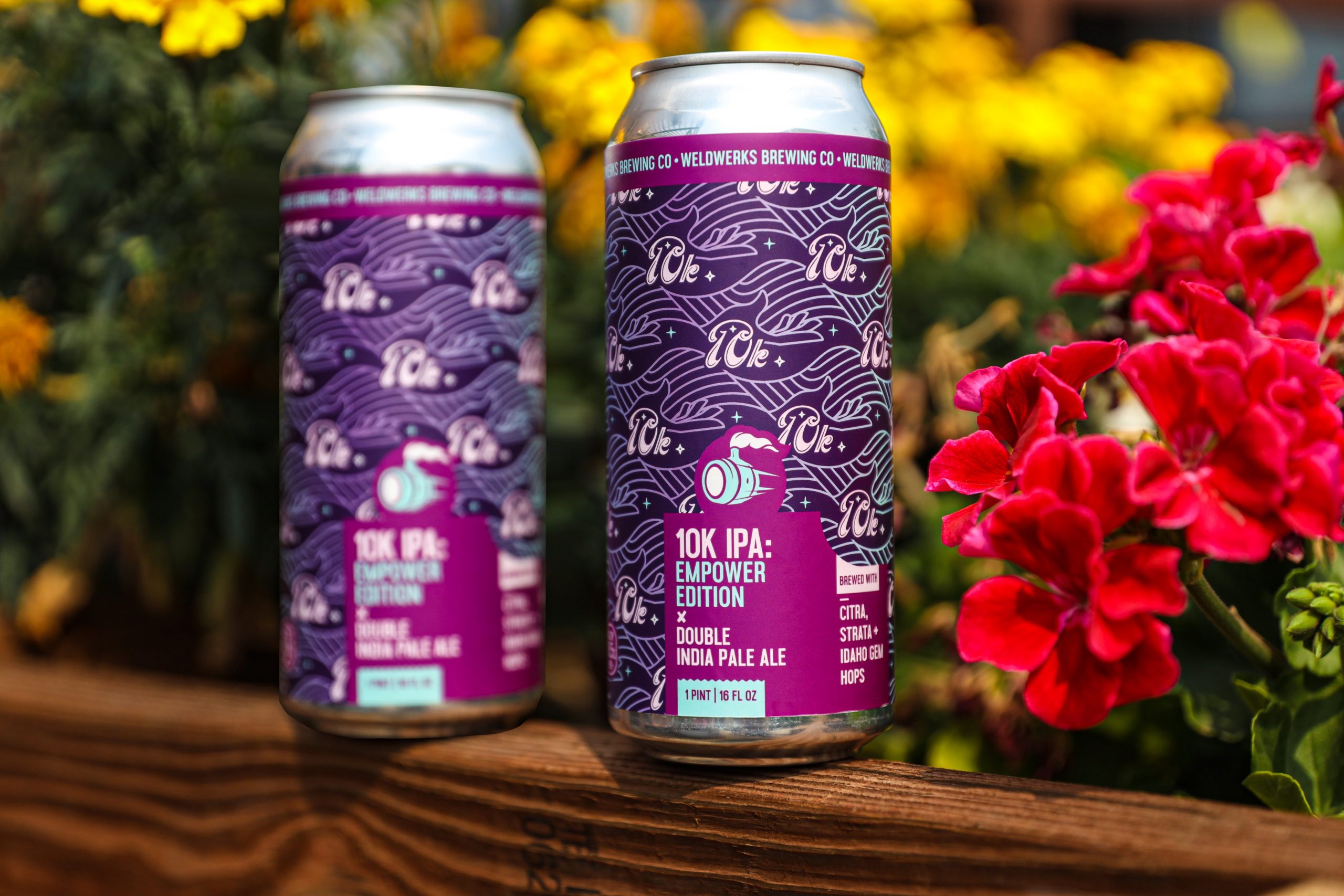 WeldWerks Releases IPA to Support Survivors of Domestic and Sexual Violence