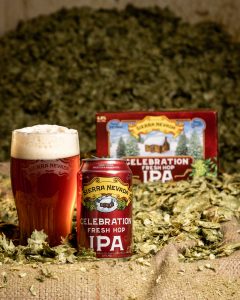 Sierra Nevada Celebration IPA Beer |