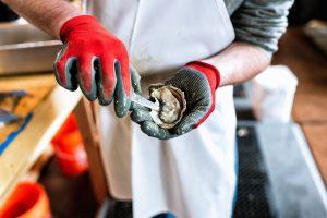 shucking oyster