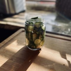 Space Dust IPA Pickles