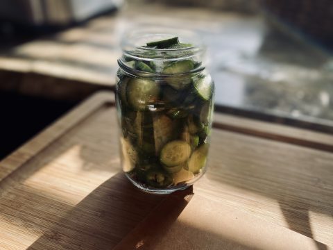 Space Dust IPA Pickles