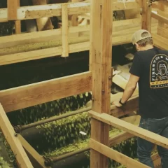 Hop Dreams | The Art Of Hop Farming. A Short Film By Firestone Walker