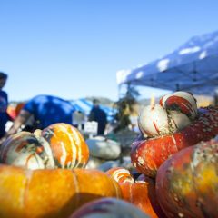 HOOD RIVER SIGNALS AUTUMN’S Returns With Signature Fall Fest.