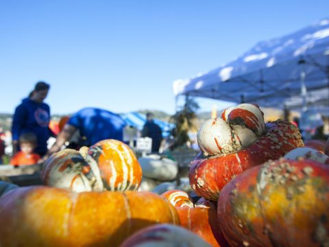 HOOD RIVER SIGNALS AUTUMN’S Returns With Signature Fall Fest.