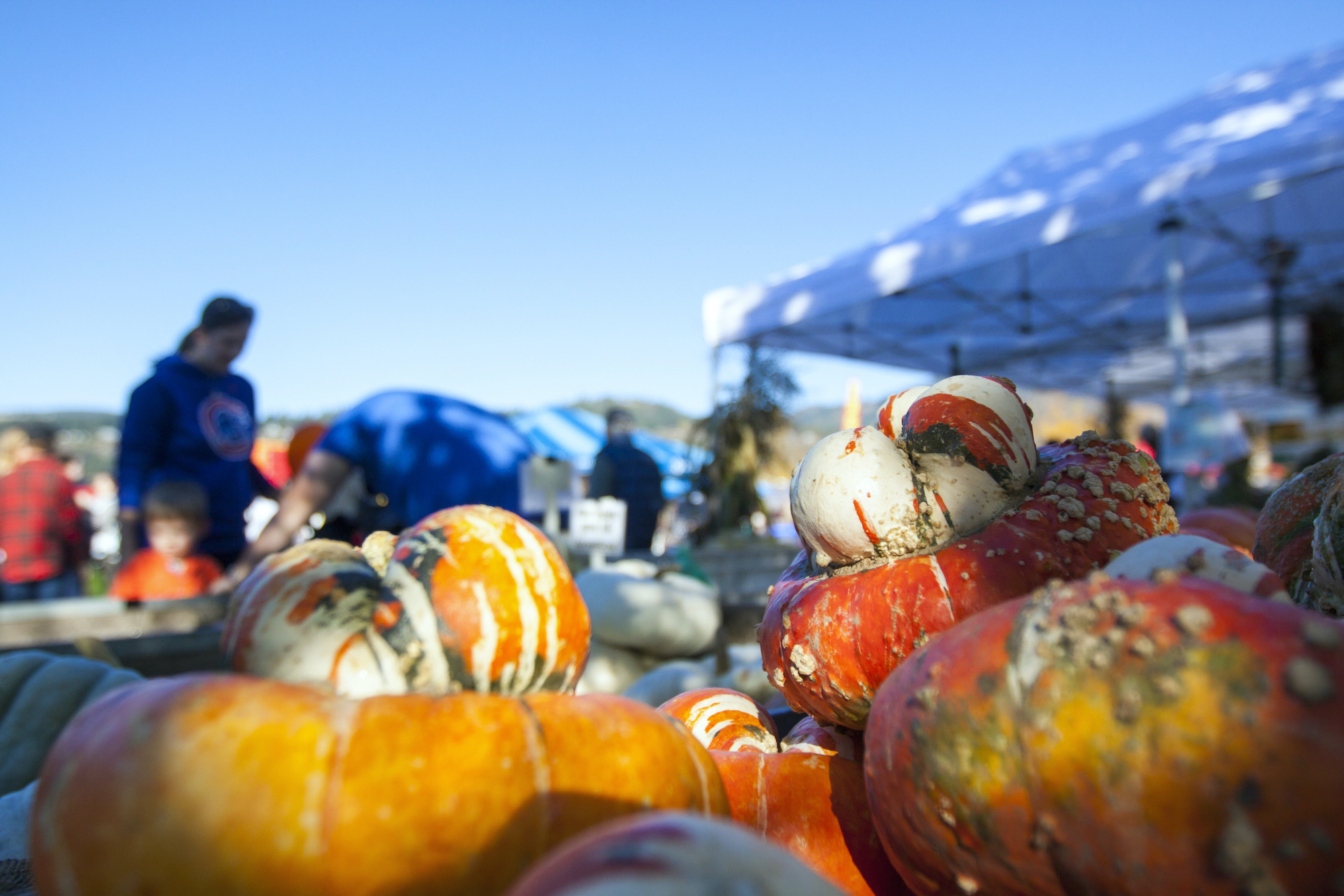 HOOD RIVER SIGNALS AUTUMN’S Returns With Signature Fall Fest.