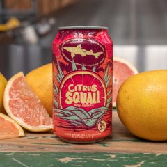 Your Offici-ALE Weather Report: Dogfish Head Tracks Citrus Squall