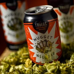 Tröegs releases Nugget Nectar, a bright spot in the dead of winter