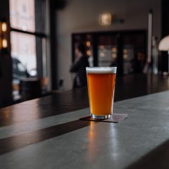 Ales vs. Lagers: Exploring the Differences in Ingredients, Brewing Techniques, and Flavor Profiles