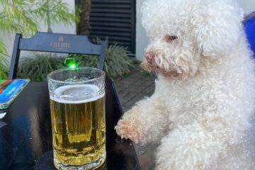 The Perils of Beer for our Furry Friends: Understanding the Dangers