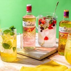 Gordon’s Gin Releases Two Minute Pitcher Creations For Summer