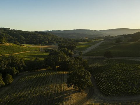 Halter Ranch Winery Achieves Organic Certification