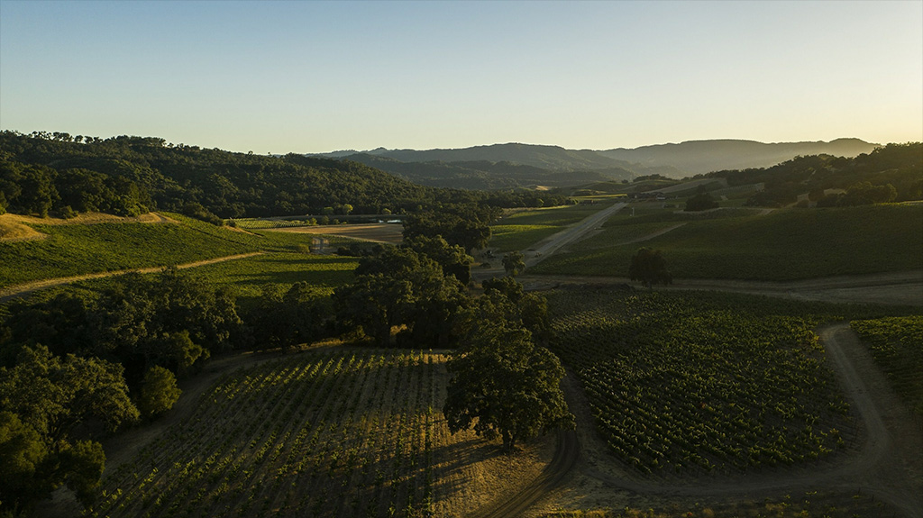 Halter Ranch Winery Achieves Organic Certification