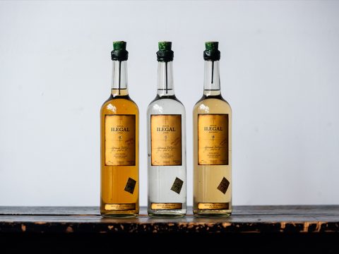 Bacardi Acquires ILEGAL Mezcal