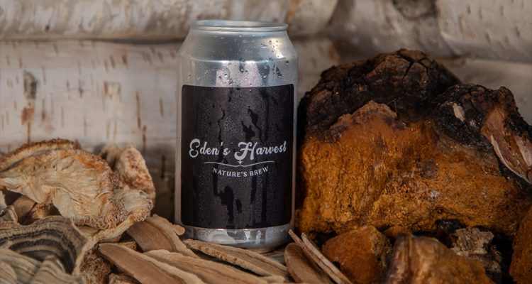 edens harvest chaga beer h | Lark Brewing