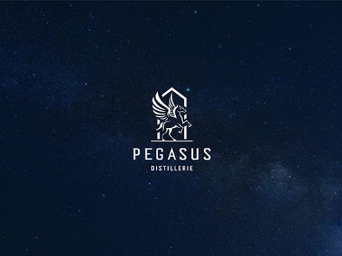 Pegasus Distillerie Releases Meteorite Infused Vodka