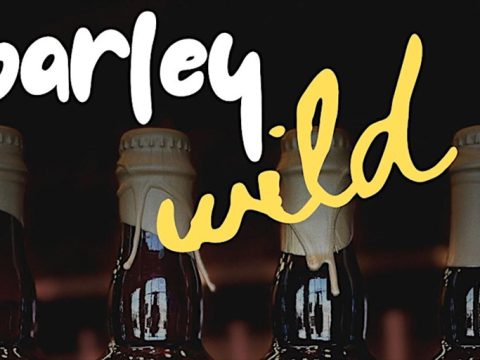 River North Brewing’s BarleyWILD Extravaganza April 27th, 2024