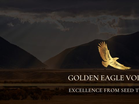 Golden Eagle Vodka Debuts in Southern California