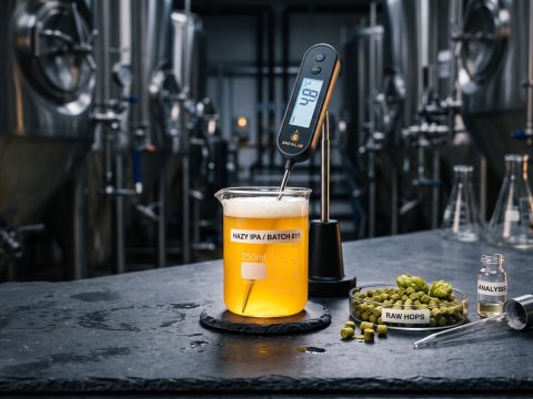 Why Is Hazy IPA Not Bitter? (The Science of Low Bitterness)