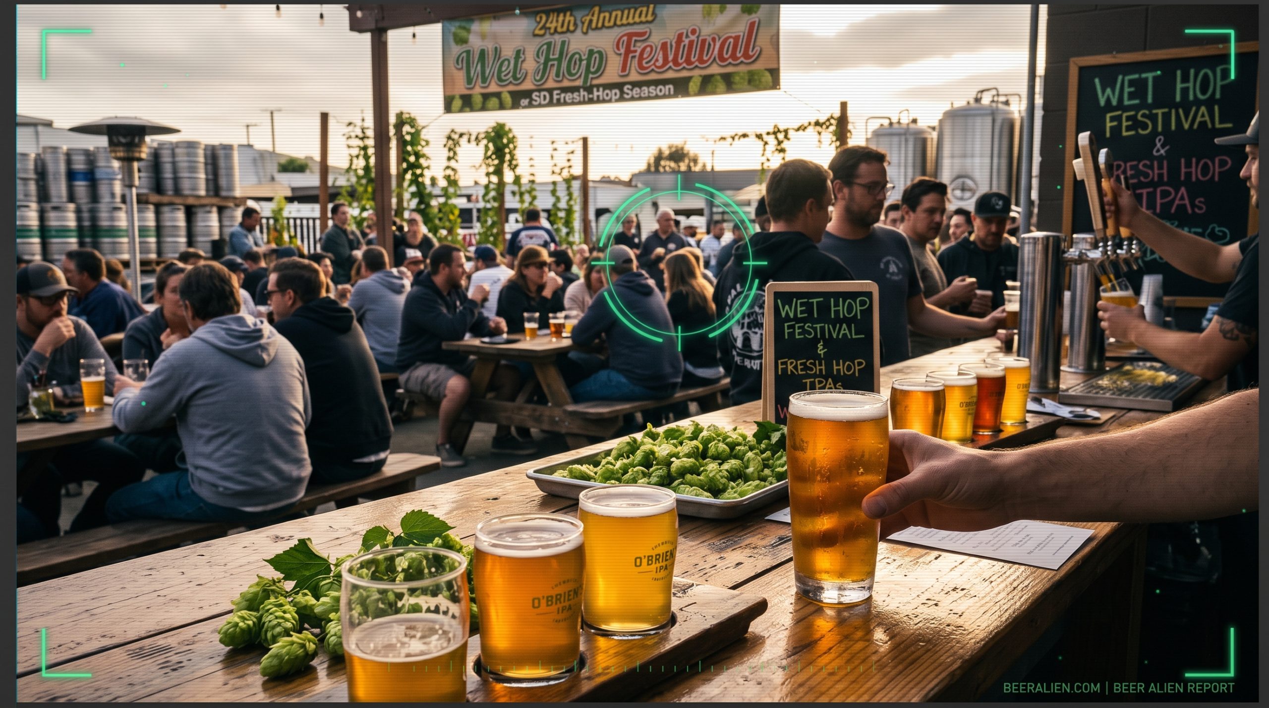 San Diego’s Fresh Hop Season Explained and Where to Find the Local Whole-Cone Beers
