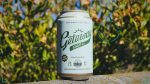 Bay City Getaway Day: The 3% Anytime IPA Gets a Homebrew Recipe