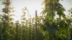 Cheers to the Land 2026: 16 Oregon Beers and Ciders Back Farmland Protection