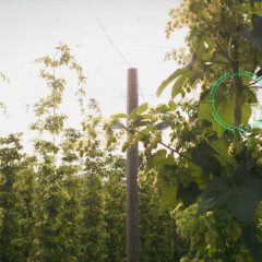 Cheers to the Land 2026: 16 Oregon Beers and Ciders Back Farmland Protection