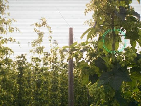 Cheers to the Land 2026: 16 Oregon Beers and Ciders Back Farmland Protection