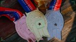 GABF 2026 Winners: Craft Coast Leads San Diego’s 12-Medal Haul