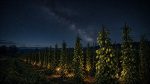 Eggers Hops’ New Moon Harvest Nelson Sauvin Goes to 90 Breweries
