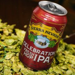 Sierra Nevada Celebration 2026 Ships for Its 45th Year