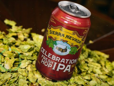 Sierra Nevada Celebration 2026 Ships for Its 45th Year