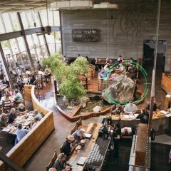 Stone Founders Take Back the Escondido Bistro & Gardens