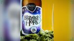 Tröegs Blizzard of Hops Returns for 2026 With New Blue and Purple Cans